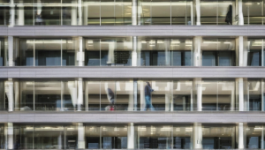 The Key Factors Behind Deloitte’s Sudden Rise in Popularity